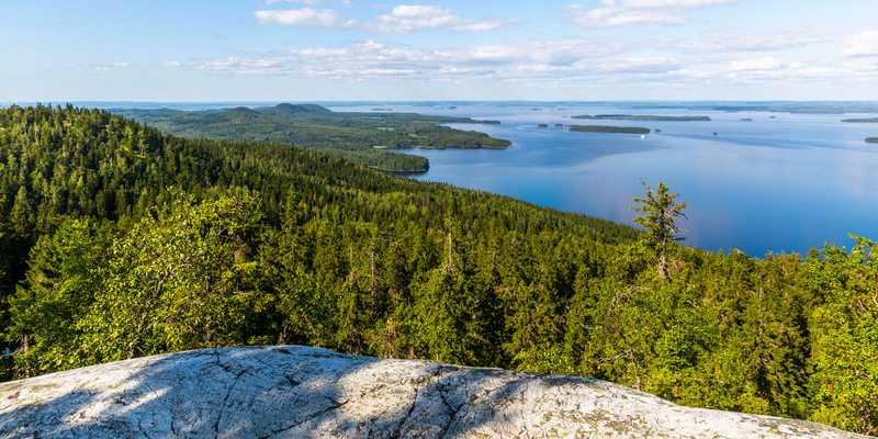 koli